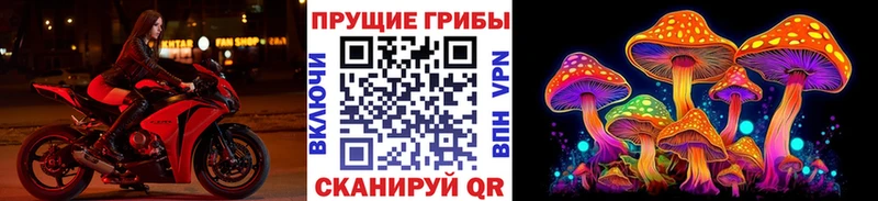 Псилоцибиновые грибы ЛСД  Купить  Нефтекумск 